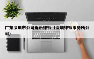 广东深圳市公司诉讼律师（深圳律师事务所公司）