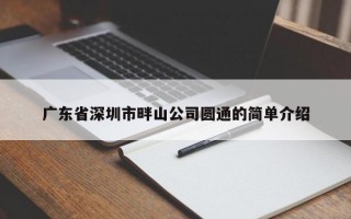 广东省深圳市畔山公司圆通的简单介绍