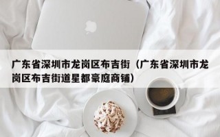 广东省深圳市龙岗区布吉街（广东省深圳市龙岗区布吉街道星都豪庭商铺）