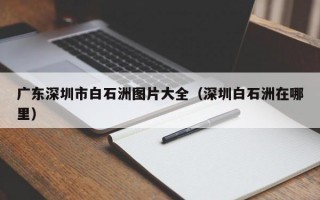 广东深圳市白石洲图片大全（深圳白石洲在哪里）