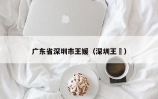 广东省深圳市王媛（深圳王翀）