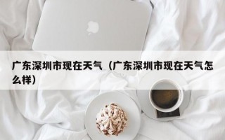 广东深圳市现在天气（广东深圳市现在天气怎么样）